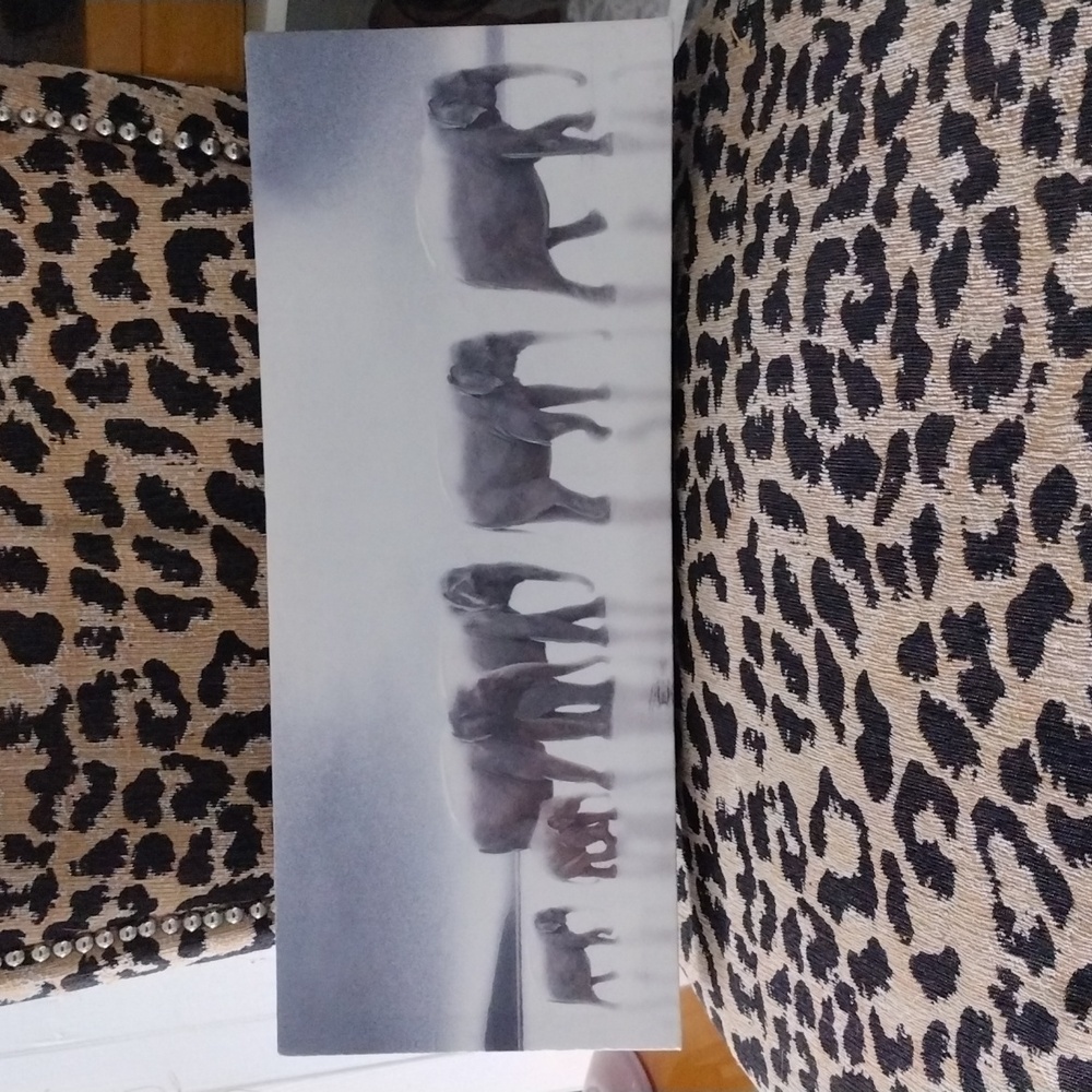 Elephants on canvas painting